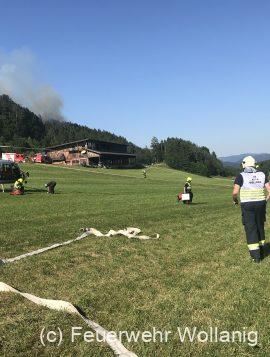 Brandeinsatz - Waldbrand - 30.6.2019